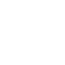 home cat and dog  icon